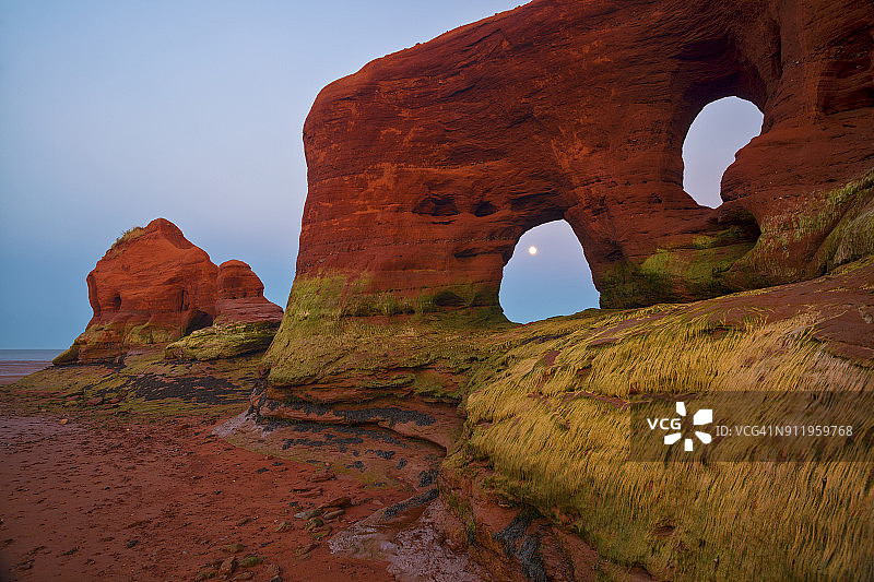 米纳斯盆地的海岸海蚀柱、沼泽草和涨潮时的满月图片素材