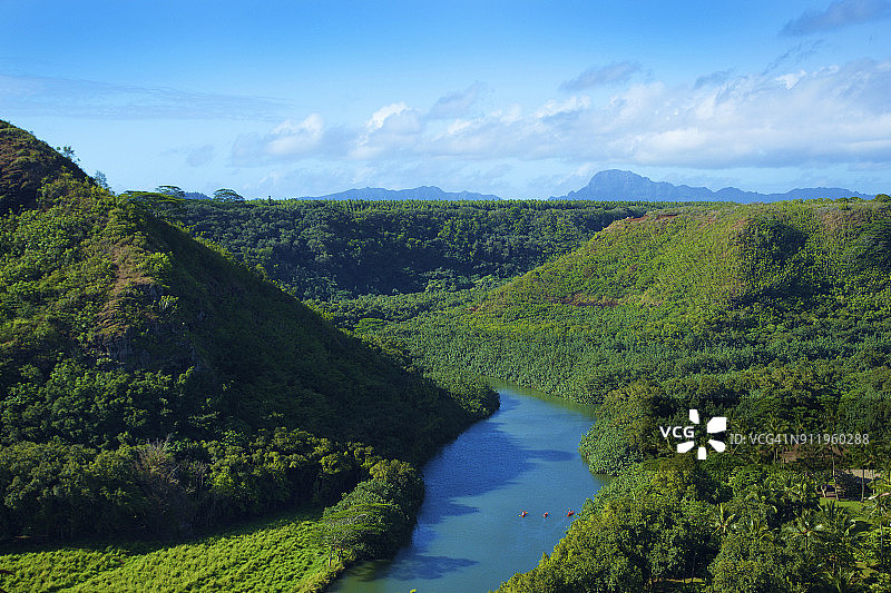 威陆亚河畔的茂密葱郁的植被风景图片素材