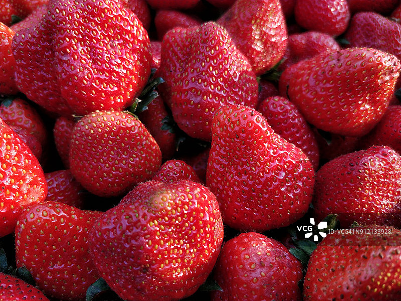 新鲜的草莓图片素材