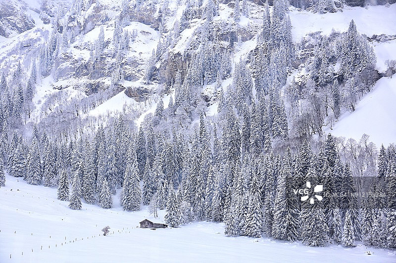铁力士山缆车沿途的冬季白色景观，瑞士伯恩州恩格尔贝格图片素材