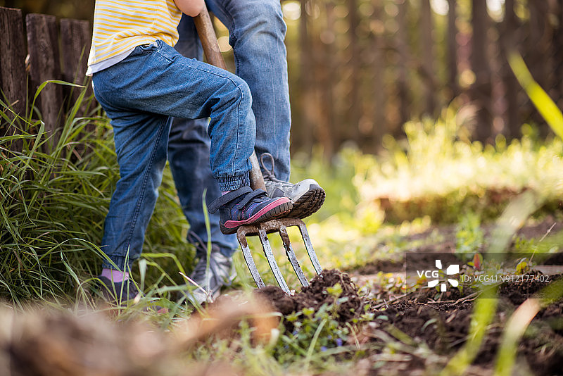 后院里被挖松的泥土图片素材