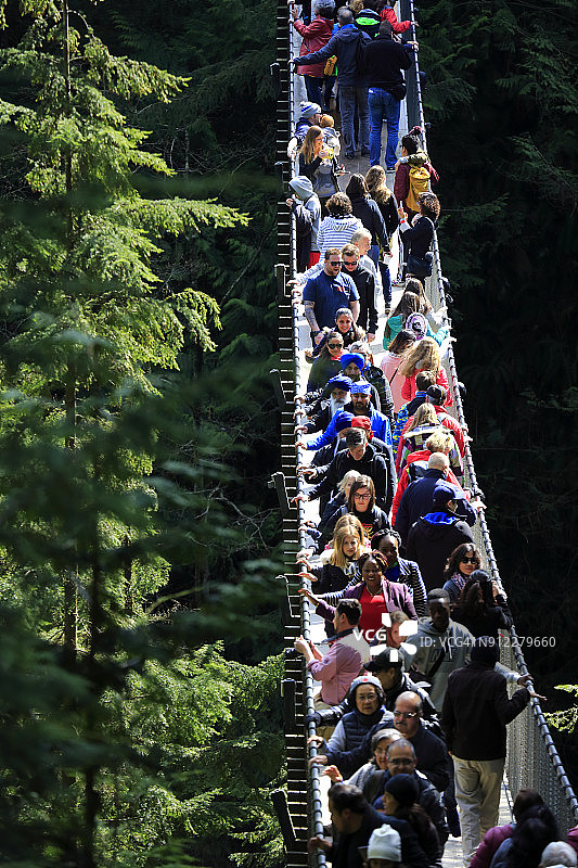 卡皮拉诺吊桥图片素材