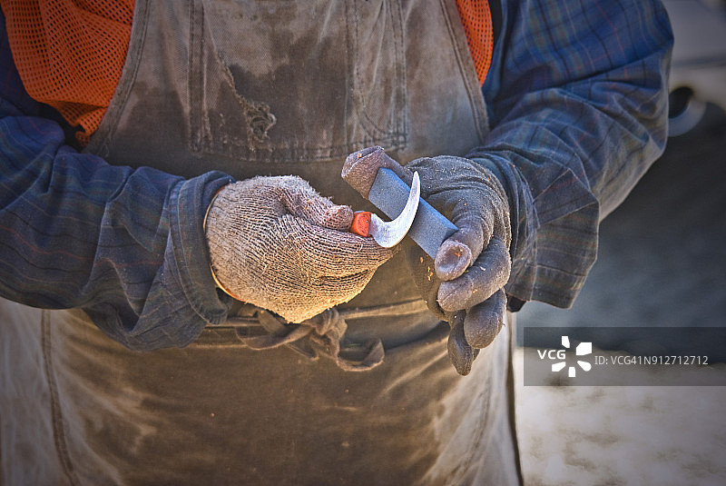 在纳帕谷的农场工人图片素材
