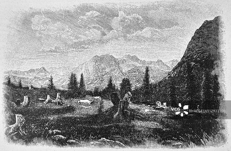 1896年山区草甸景色图片素材