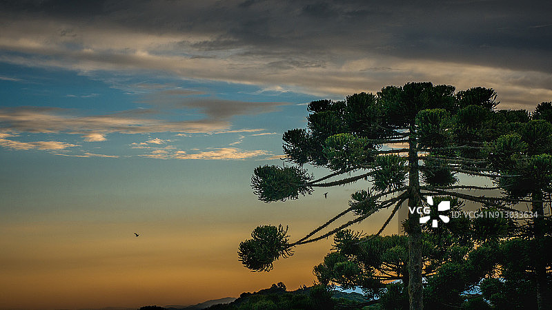 坎普斯杜若尔当的日落图片素材