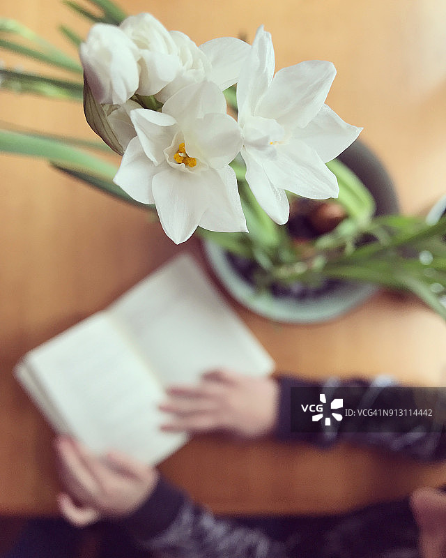 以读书女孩为背景的洋水仙选择性聚焦图片素材