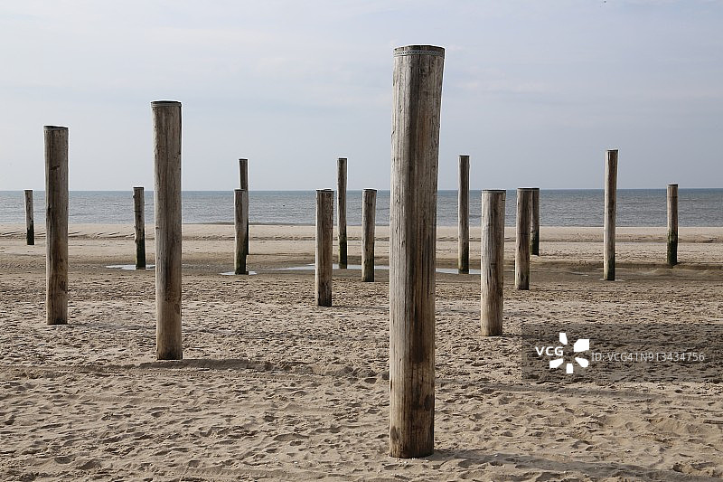 海滩上的原木图片素材