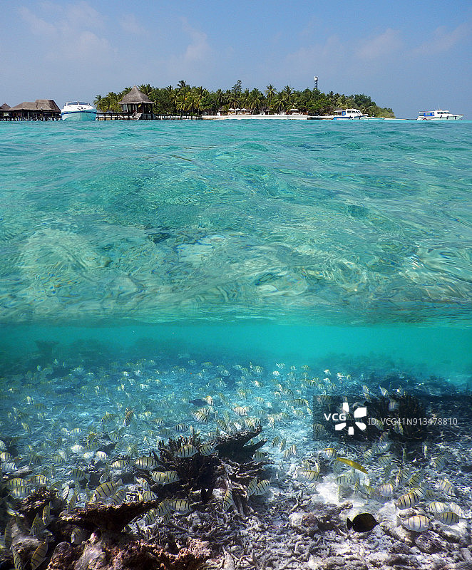 马尔代夫泻湖水上水下风光图片素材
