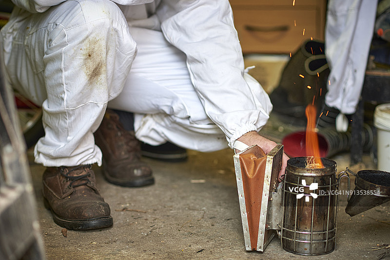 养蜂人在蜂箱里用烟熏图片素材
