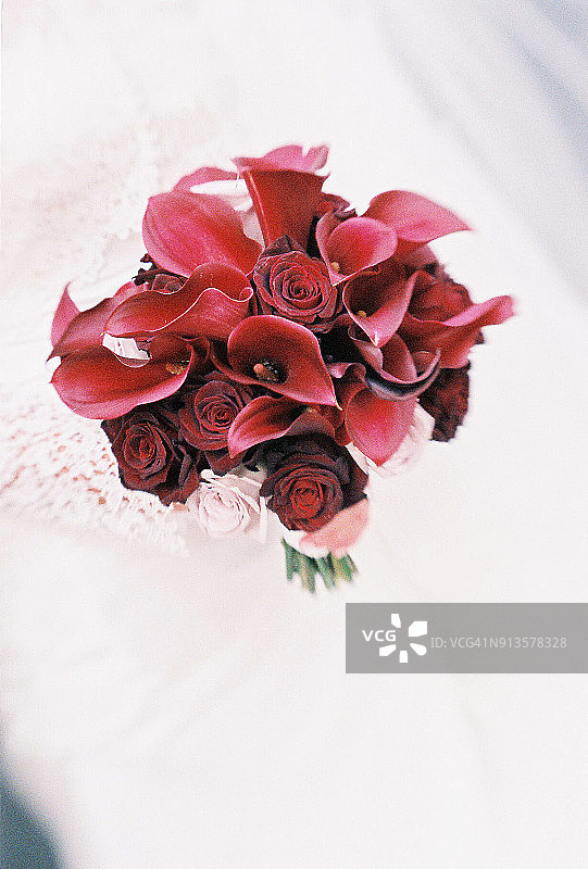 白色蕾丝背景下的红色马蹄莲花束的颗粒感图像图片素材