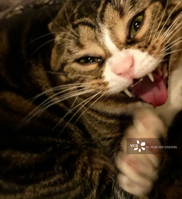 我说过不要拍照！图片素材