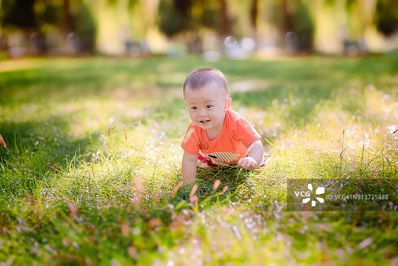 在矮草丛中爬行的一岁男宝宝图片素材