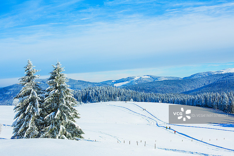 德国费尔德贝格附近黑森林绍因斯兰冬季景观图片素材