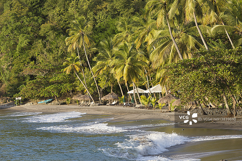 圣卢西亚苏弗里耶尔，棕榈树环绕的海岸线风光图片素材