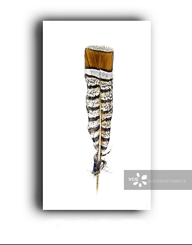 带文本的相框图像图片素材