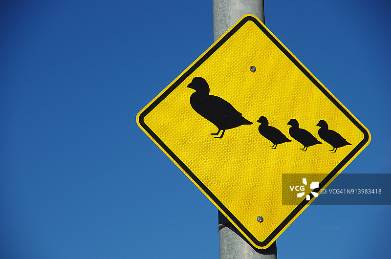 注意减速，前方有鸭子出没交通标志图片素材