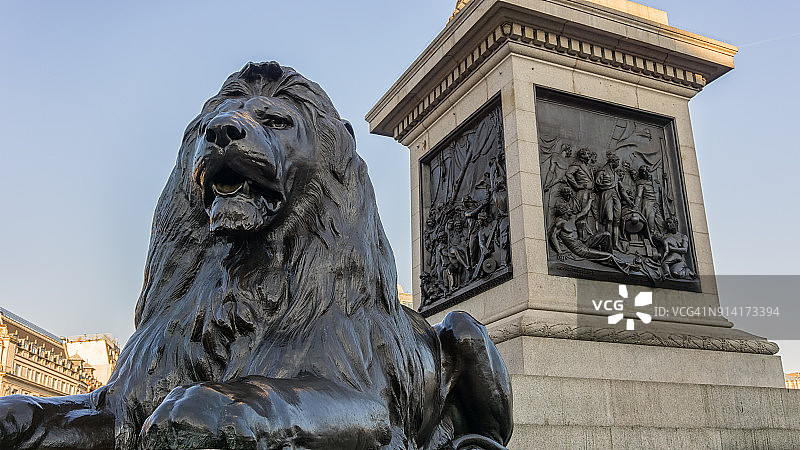 特拉法加广场的狮子图片素材