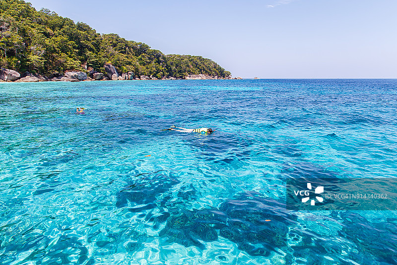 旅行者在斯米兰群岛的苏林国家公园浮潜图片素材