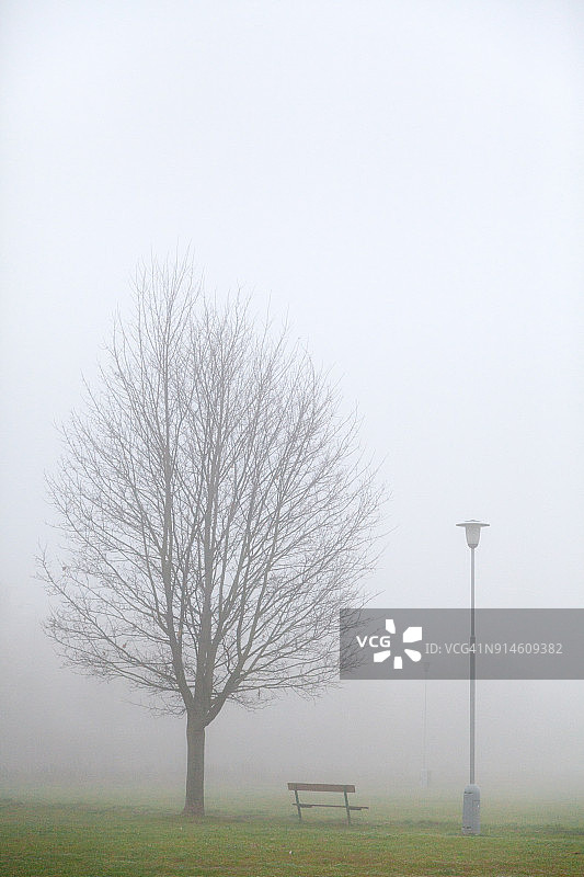 皮尔森城市公园雾景：光秃的树、长椅和路灯图片素材