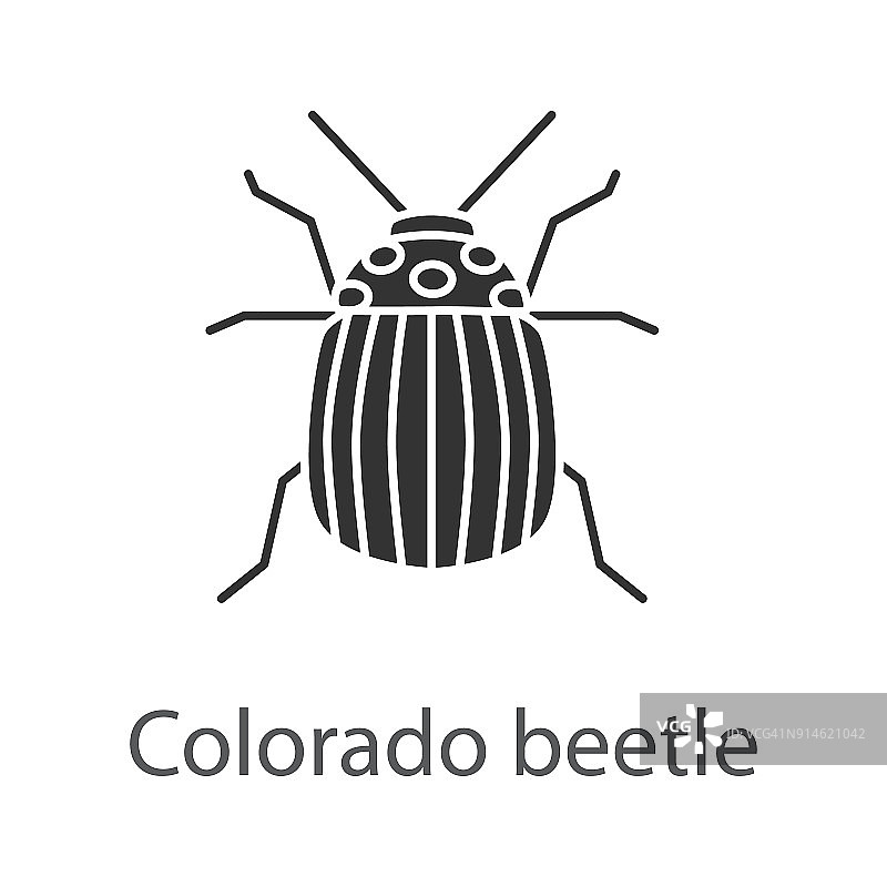 科罗拉多州甲虫图标图片素材