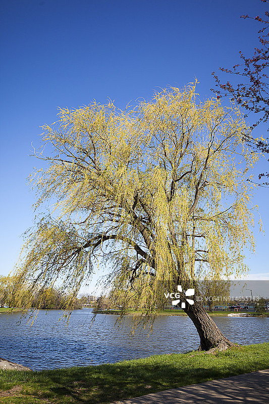 贝尔岛图片素材