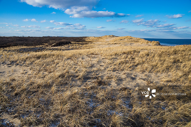 李子岛图片素材