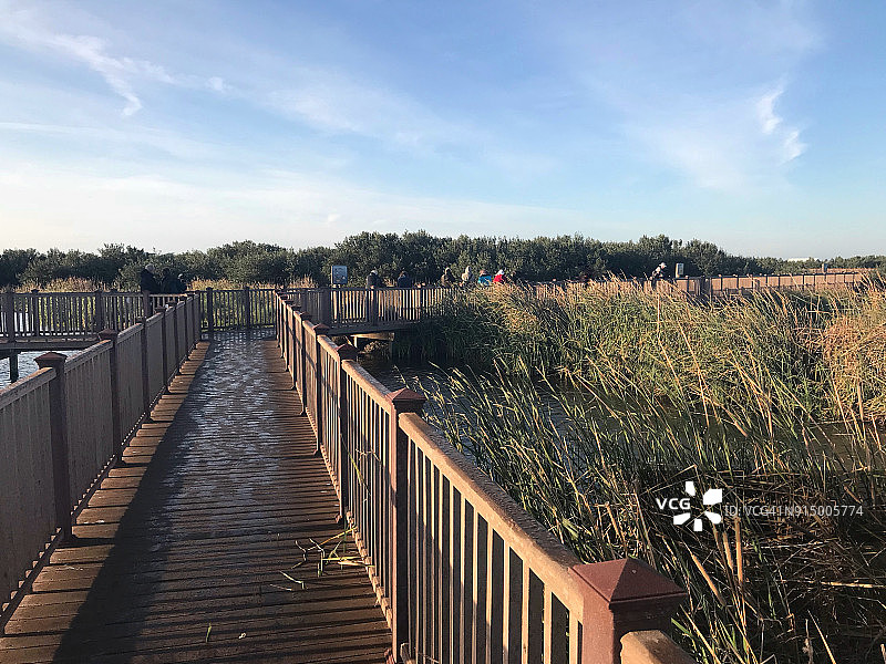 观鸟步行活动2图片素材