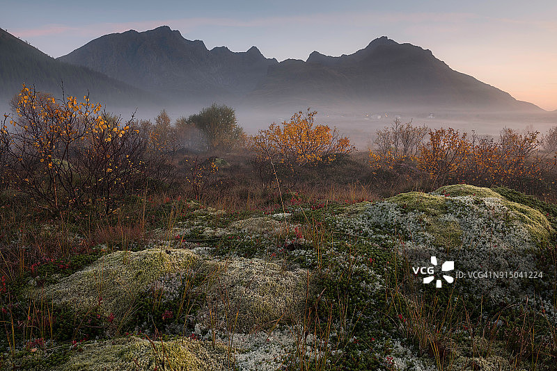 洛夫oten群岛雾气笼罩日出时的迷人自然风光图片素材