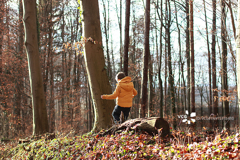 儿童在森林里玩耍图片素材