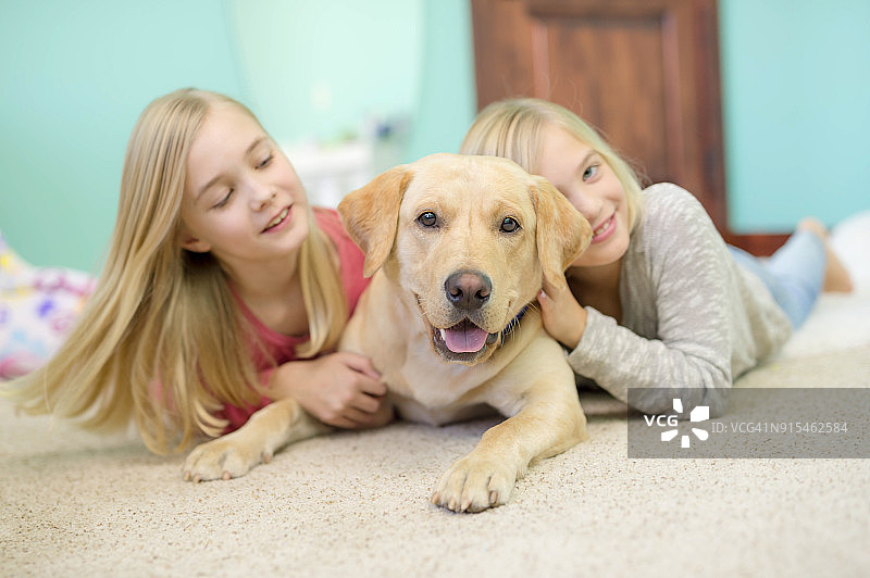 兽医培训图片素材