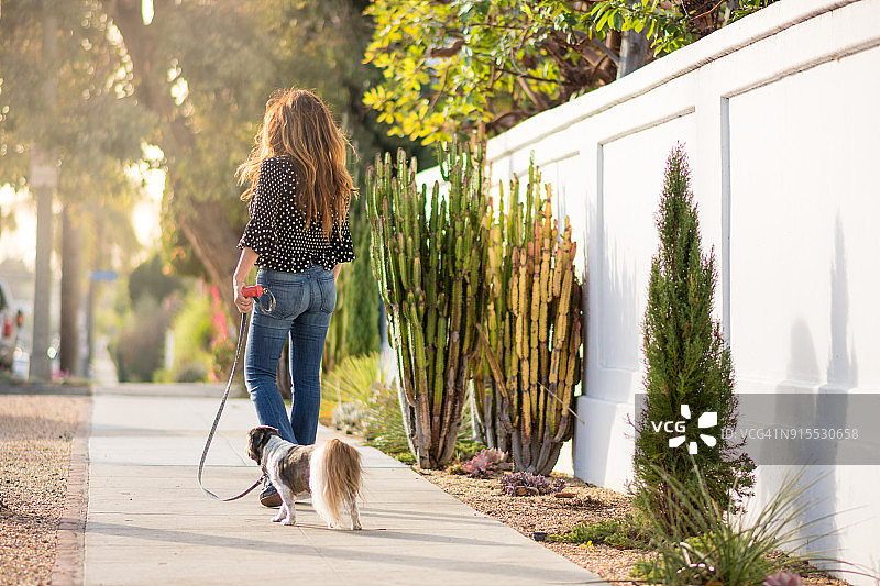 亚洲女性带着她的老年西施犬散步图片素材