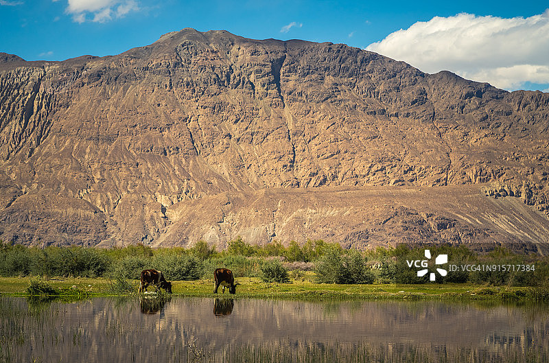 努布拉河谷图片素材