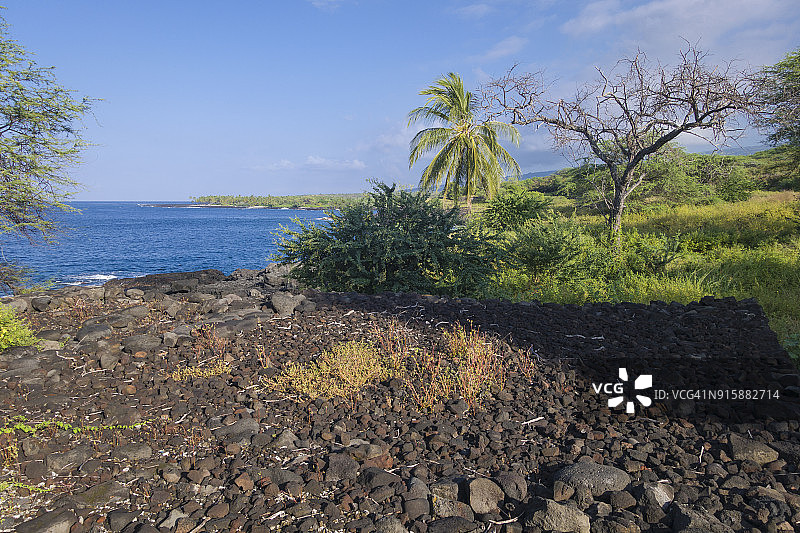 夏威夷霍纳瑙国家公园基伊拉埃湾神庙图片素材