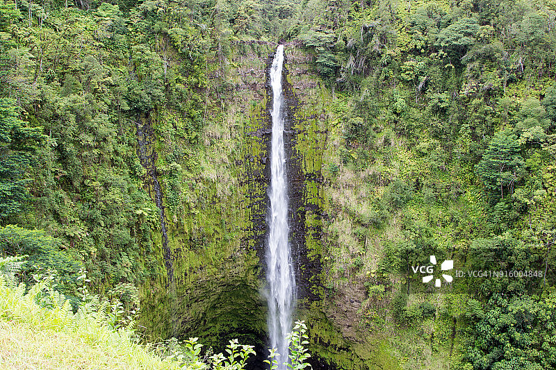 夏威夷大岛阿卡卡瀑布州立公园风光图片素材