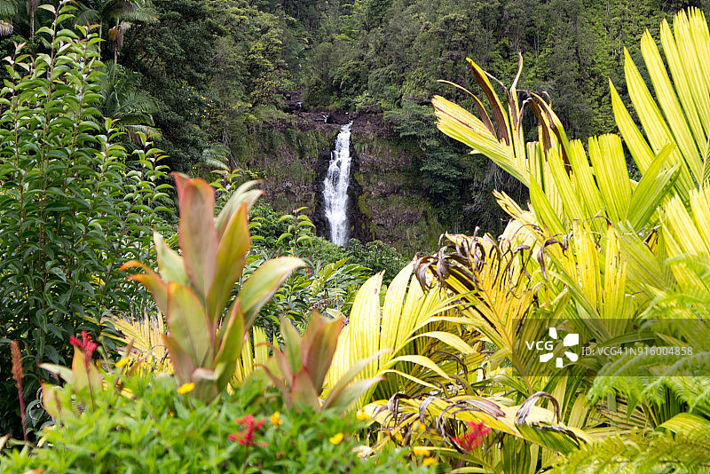 夏威夷大岛阿卡卡瀑布州立公园风光图片素材