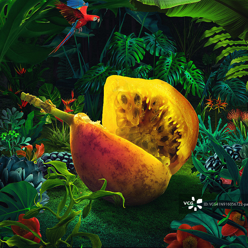 超现实巨型西番莲果图片素材