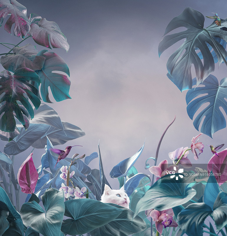 超现实热带背景图片素材