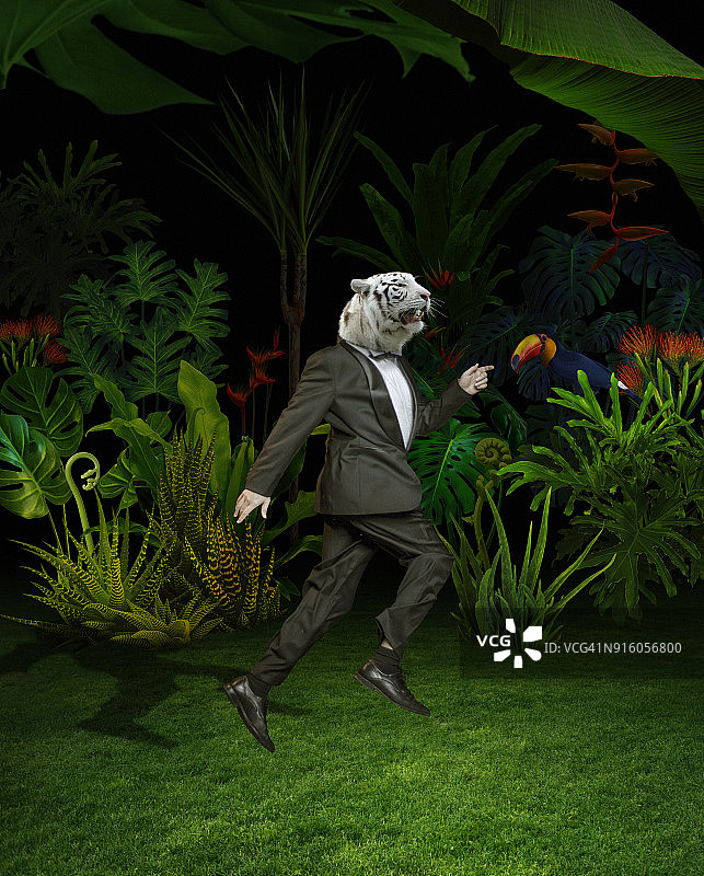 夜间丛林中老虎人的超现实肖像图片素材