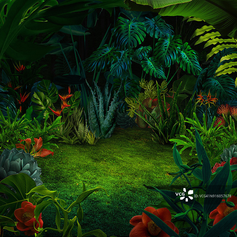 抽象的夜间丛林背景图片素材