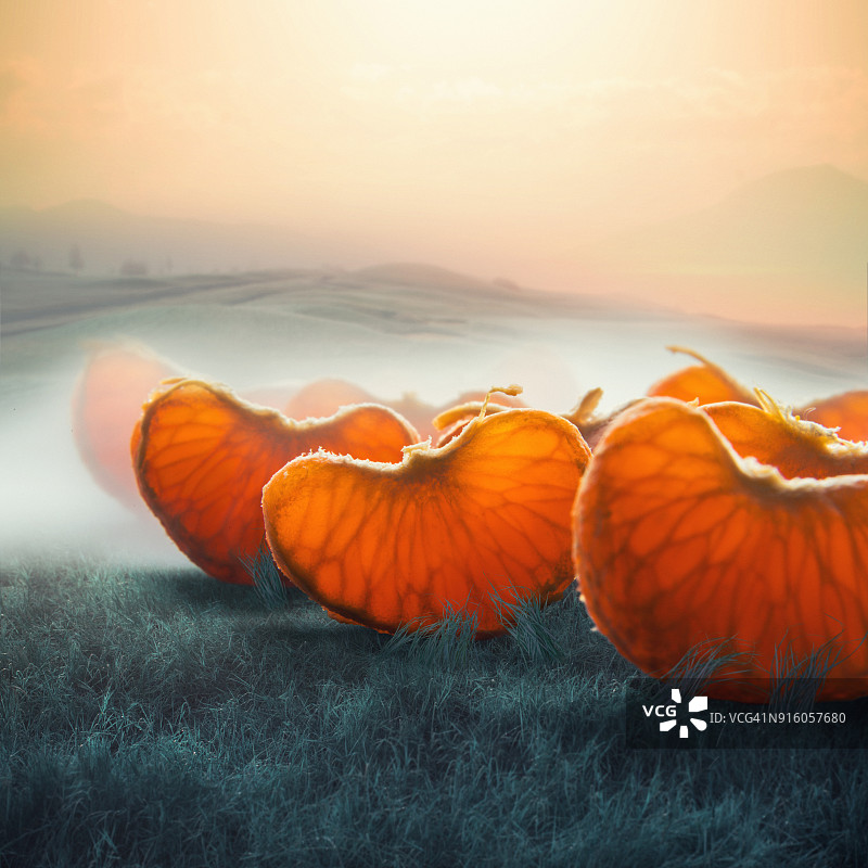 雾蒙蒙的田野中超现实的巨型橘子瓣图片素材