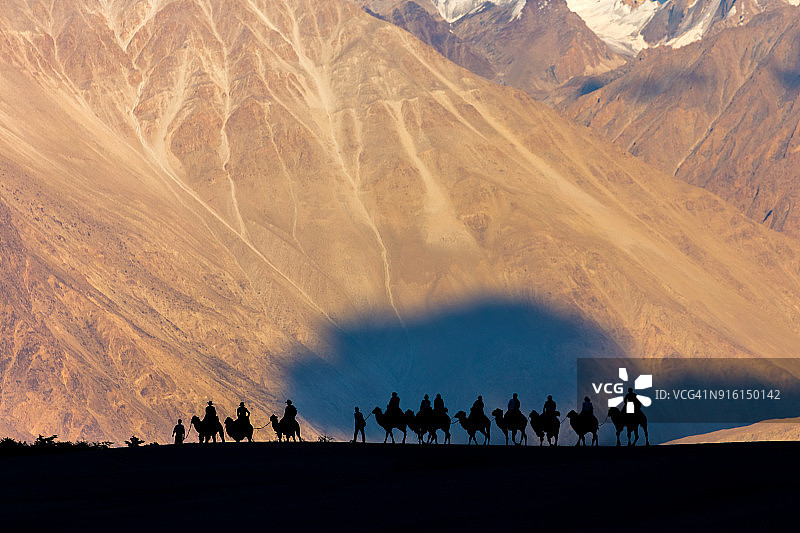 努布拉山谷中的骆驼骑行图片素材