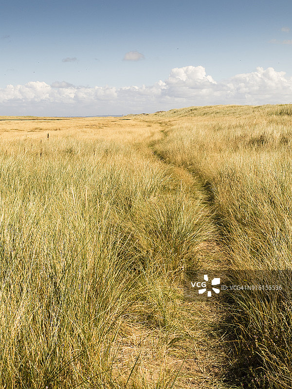 格罗南特沙丘自然保护区小路：威尔士海岸小径图片素材