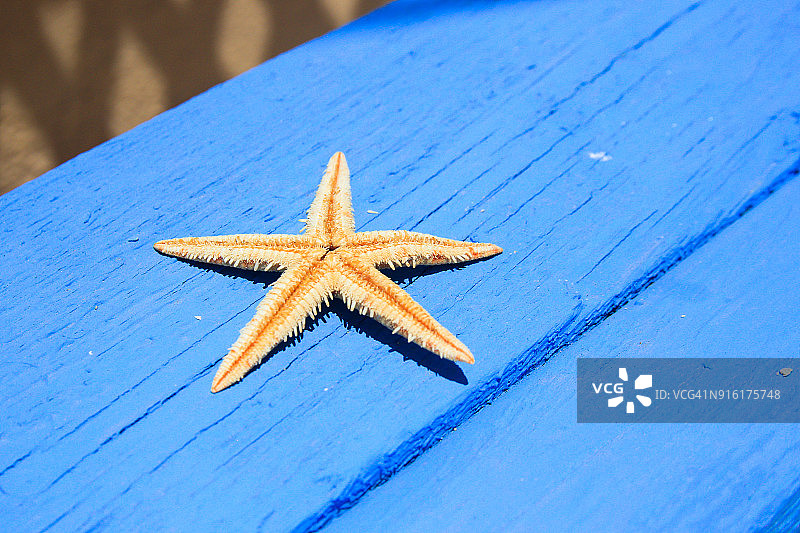 希腊锡米岛长椅上的海星图片素材