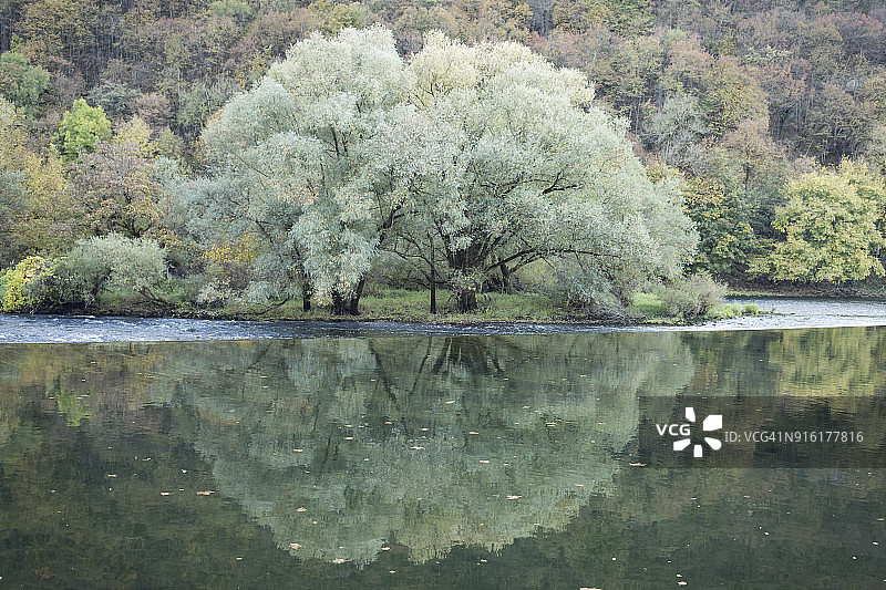 法国贝桑松河边的树木图片素材