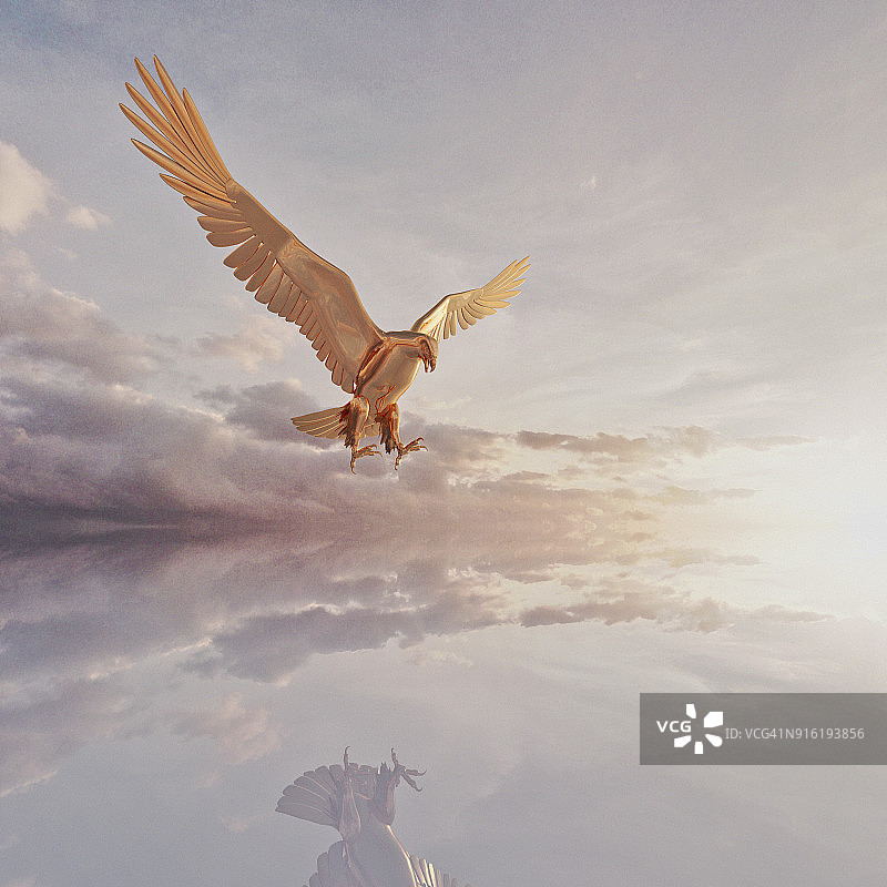 云中飞鹰倒影图片素材