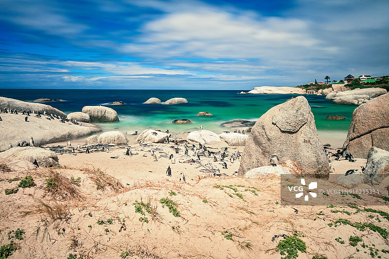 开普敦博尔德斯海滩图片素材