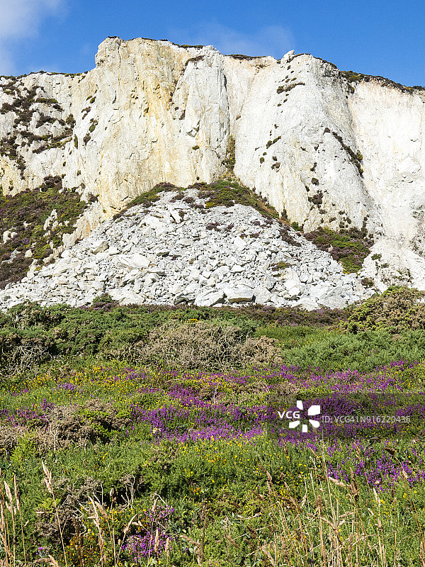 霍利黑德山下的悬崖：威尔士海岸小路，位于安格尔西岛北部和西部海岸图片素材