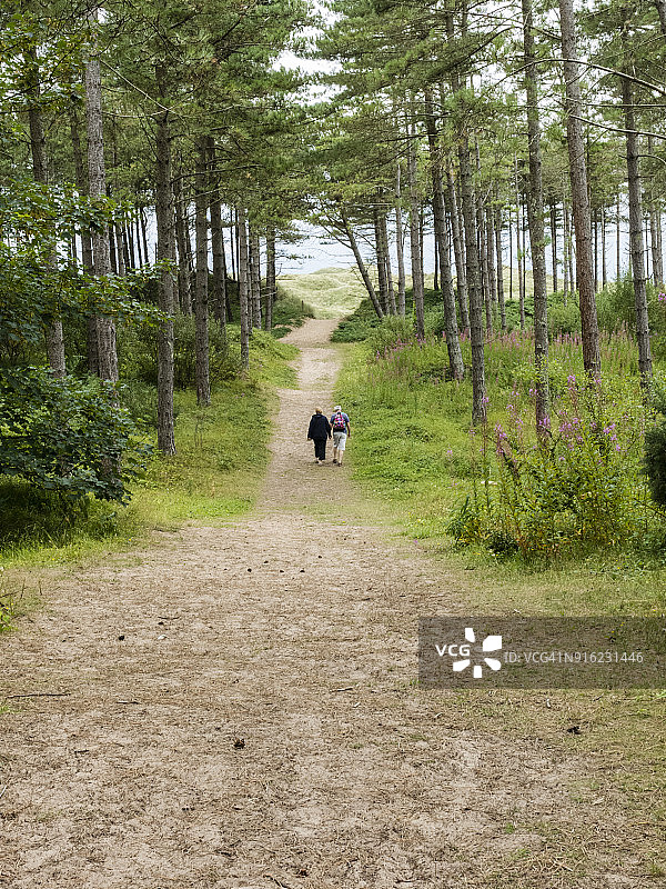 情侣在纽堡森林中散步：威尔士海岸小路，安格尔西岛北部和西部海岸图片素材
