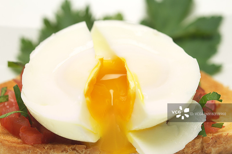 水波蛋图片素材