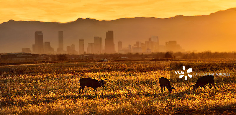 落基山兵工厂国家野生动物保护区图片素材